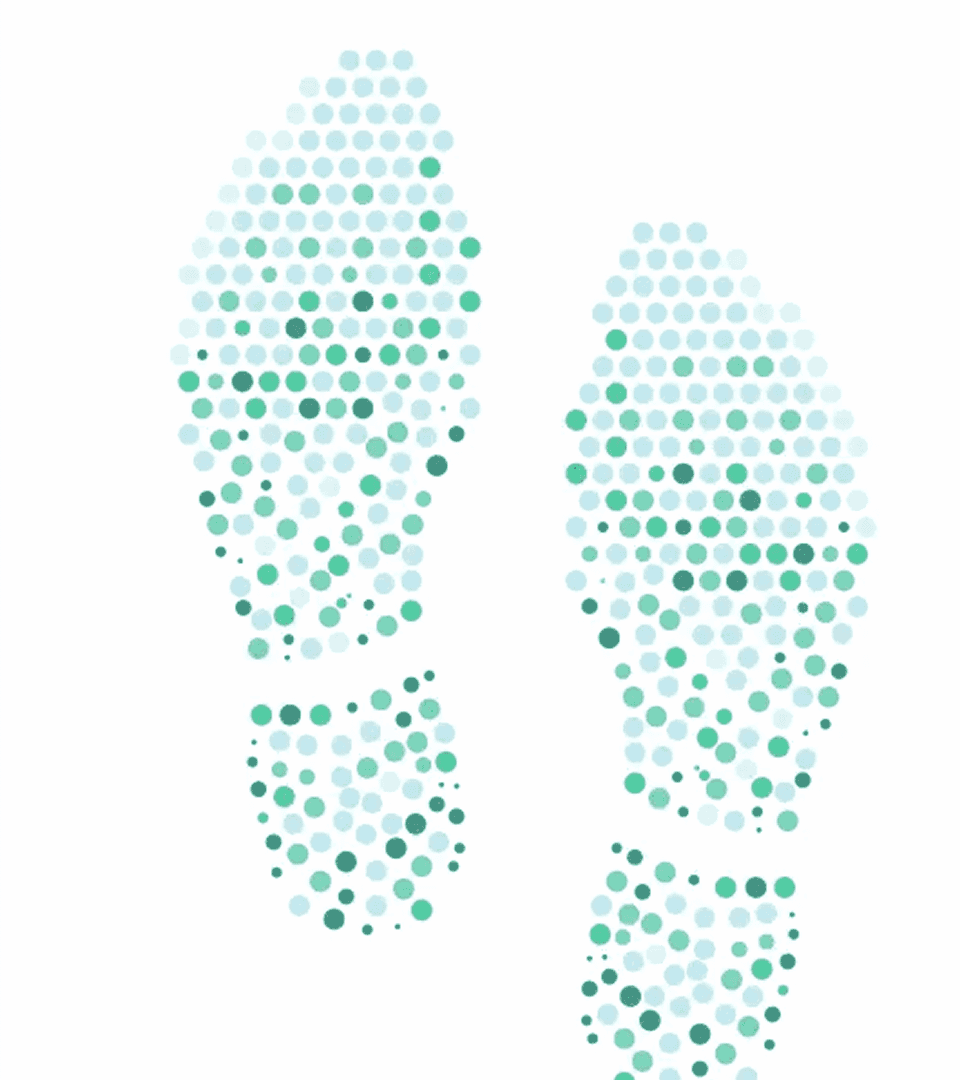 huge botanical garden