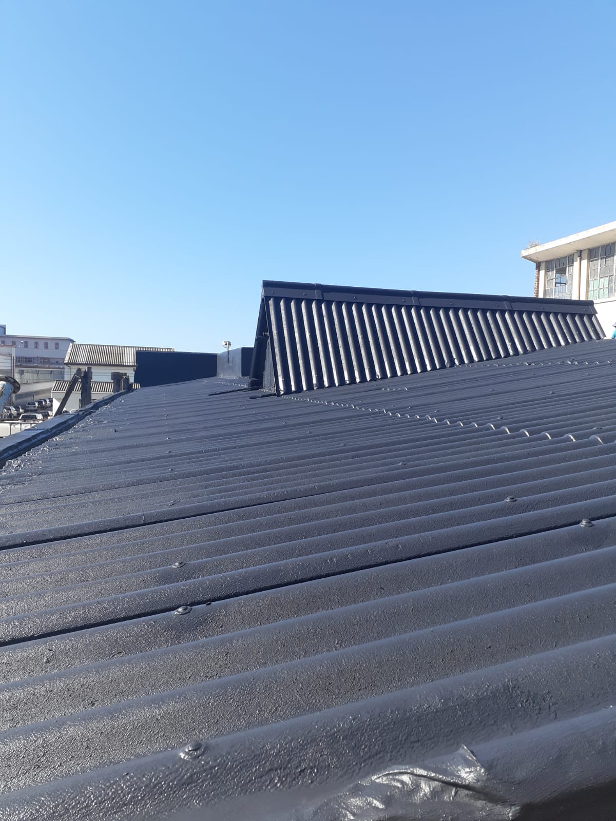 Residential roof coated with Eco Rubber