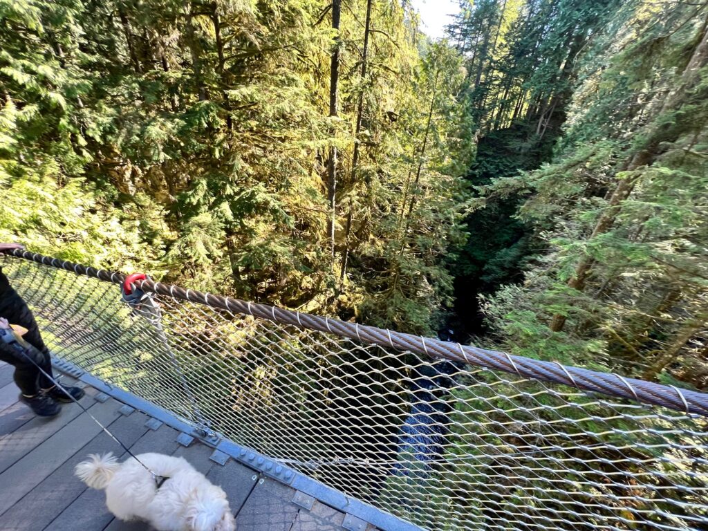 Lynn Canyon Suspension Bridge