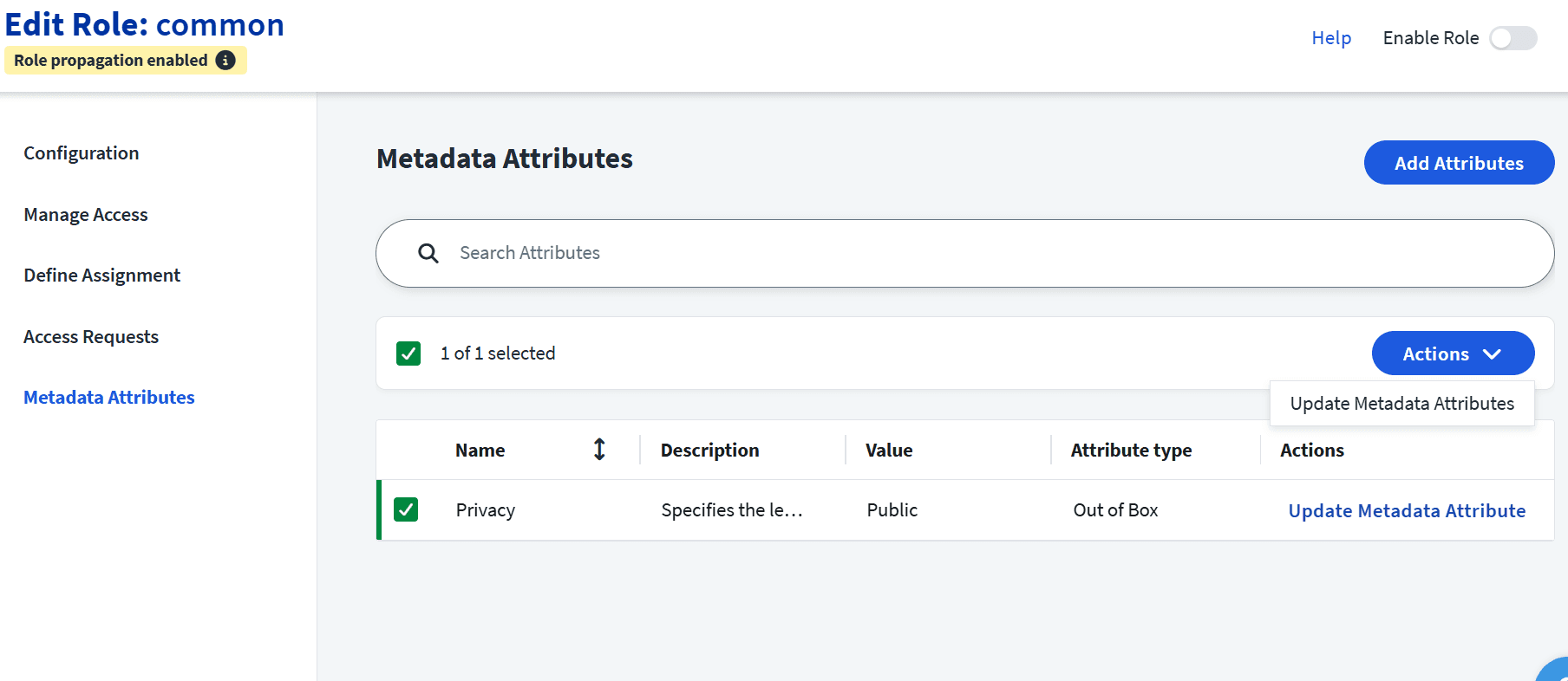 SailPoint ISC role metadata attributes list showing a selected privacy attribute with options to update.