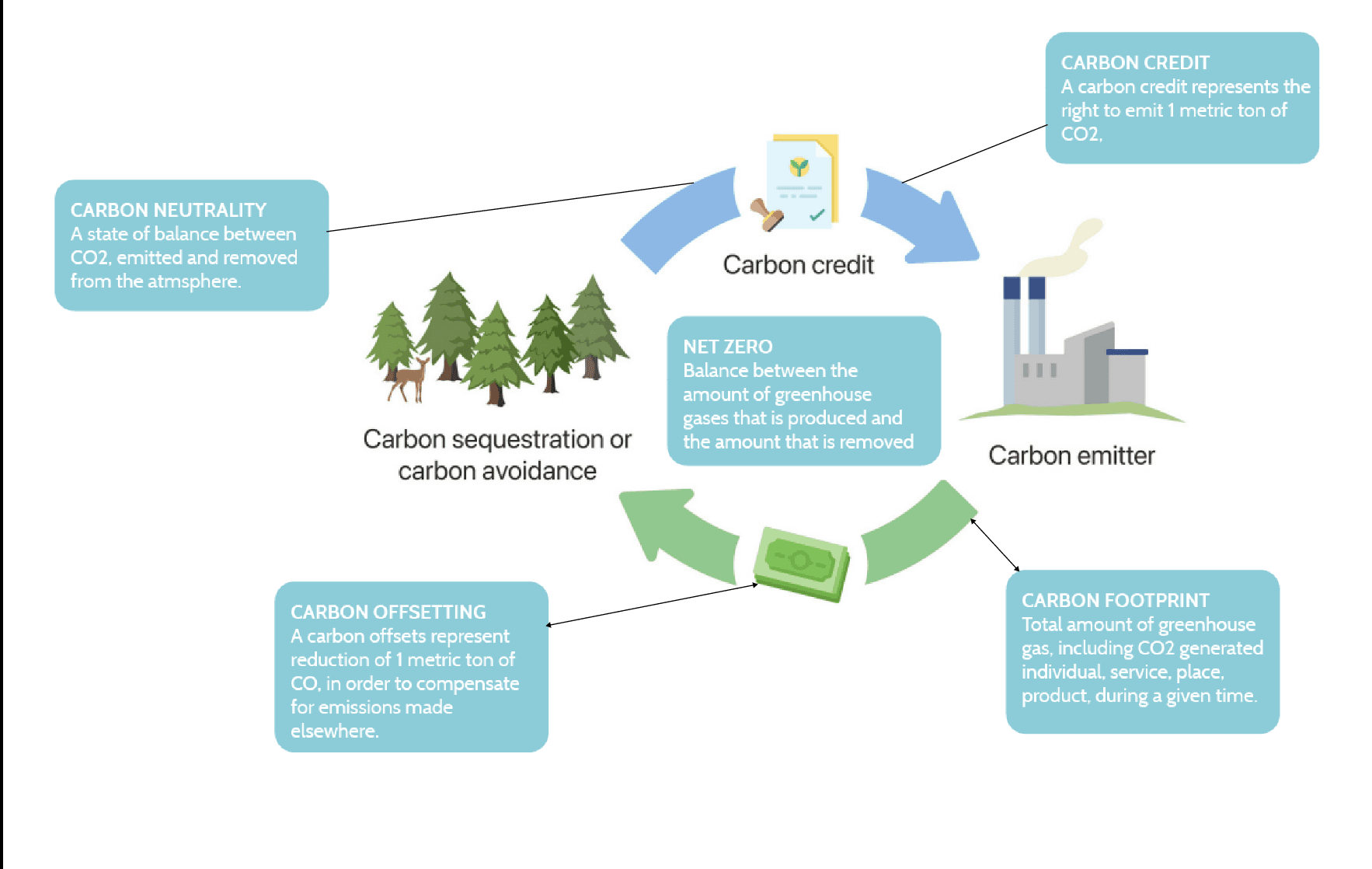 Project Content Image - 4