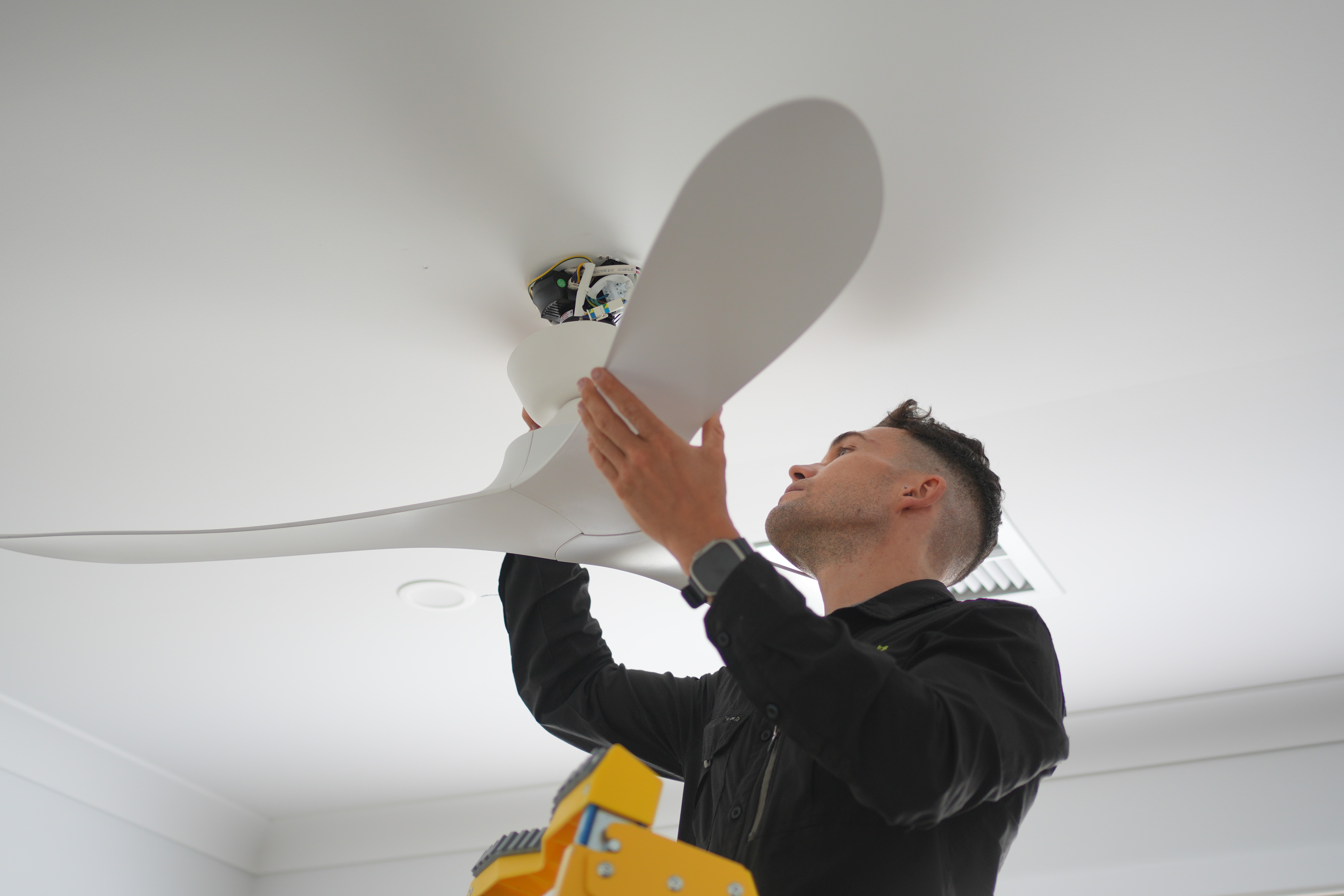 fan inspections