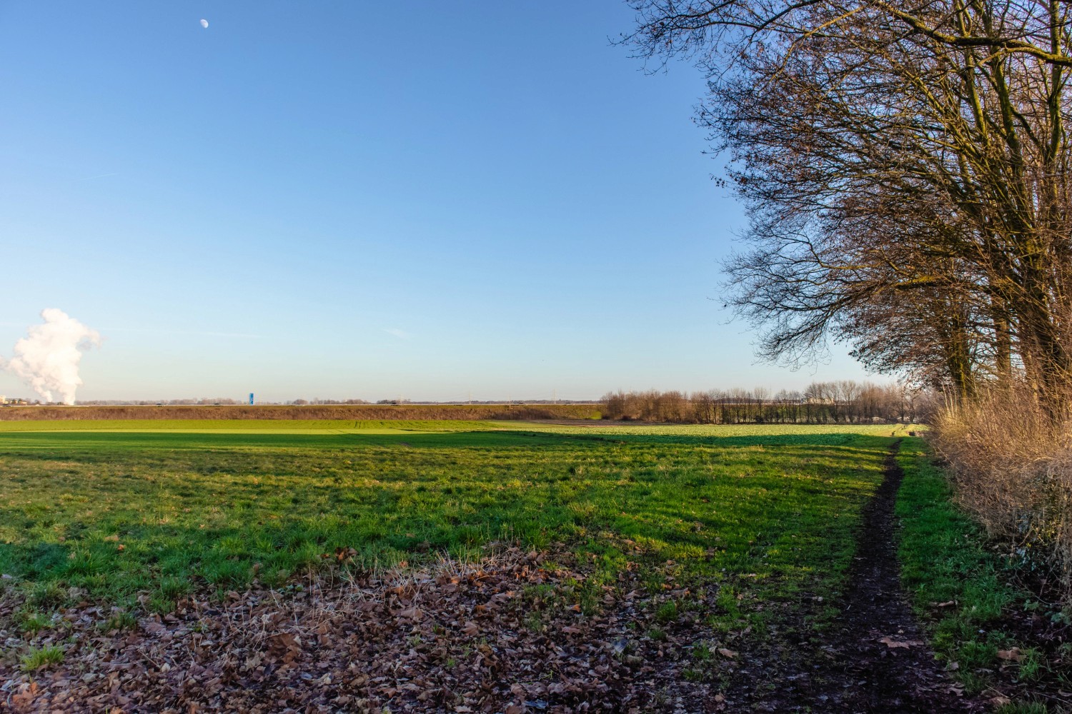 farmland in Kansas