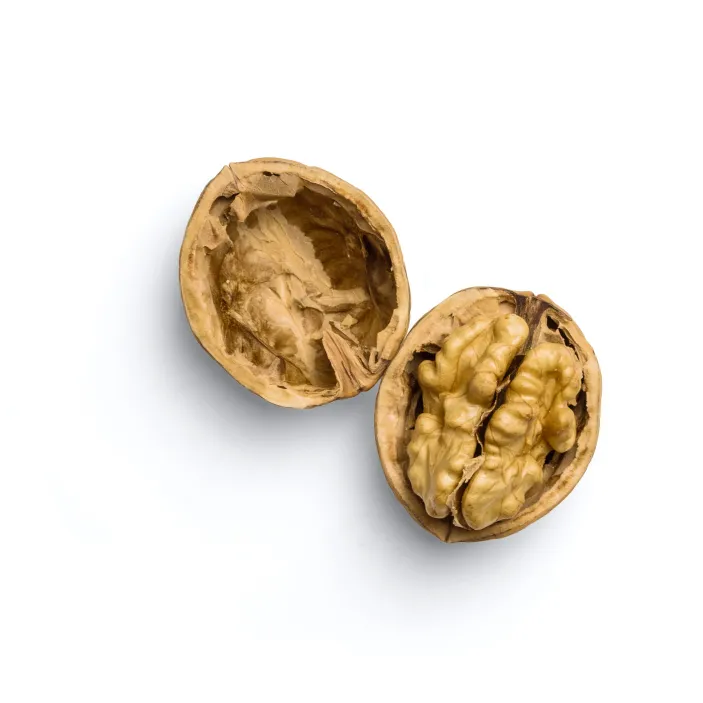 Two walnuts on a white surface
