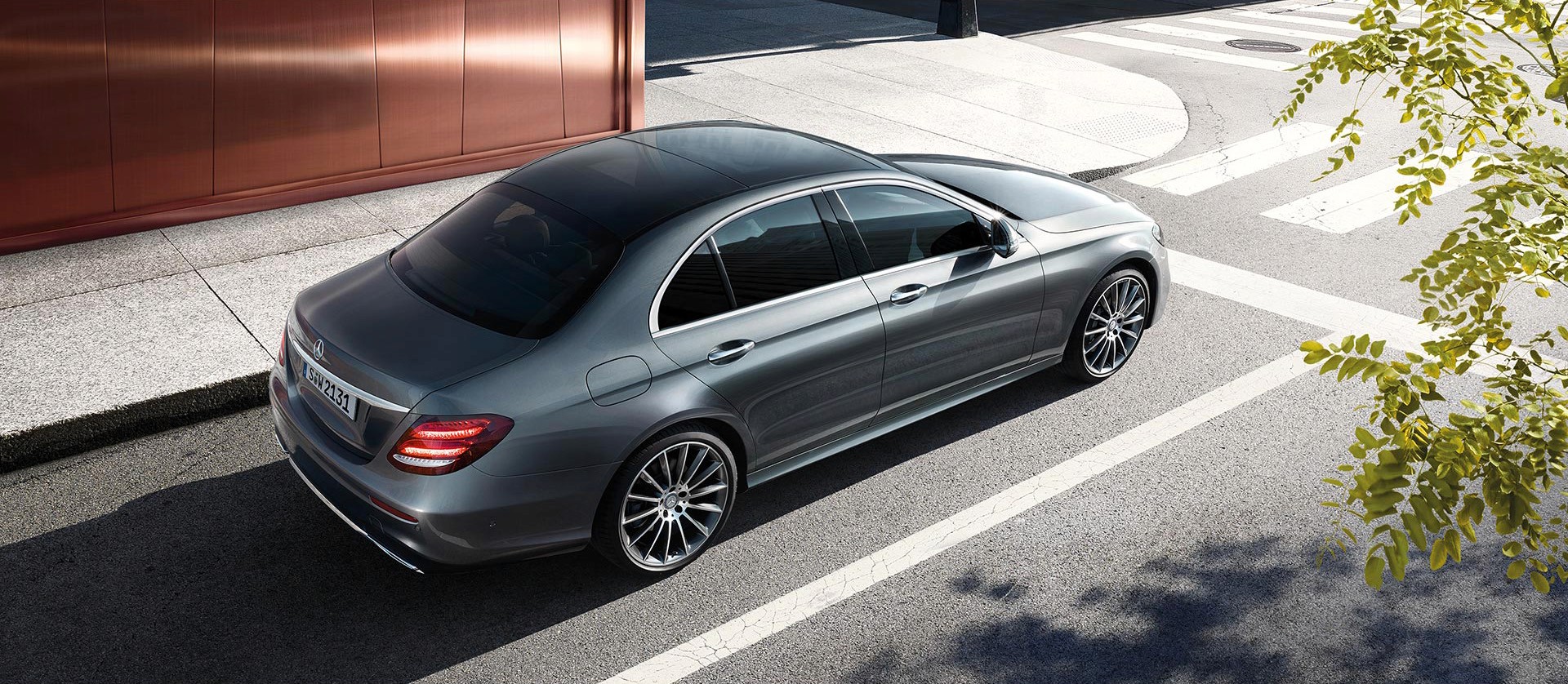 Forest Simon Unsplash