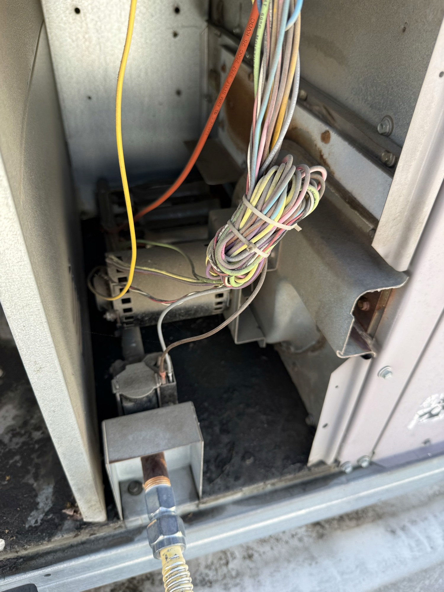 Interior of a rooftop unit's control compartment showing a coiled bundle of low-voltage thermostat wiring and an electrical disconnect.