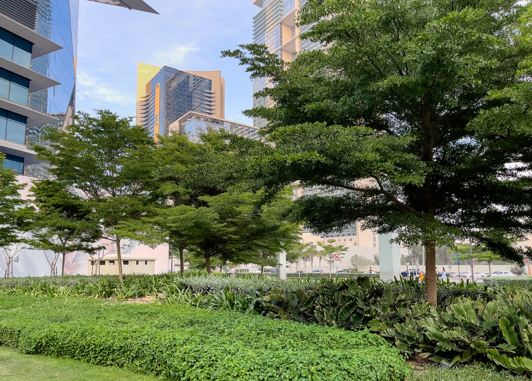 Lush greenery and urban landscaping near the Burj Daman building for a premium lifestyle experience.