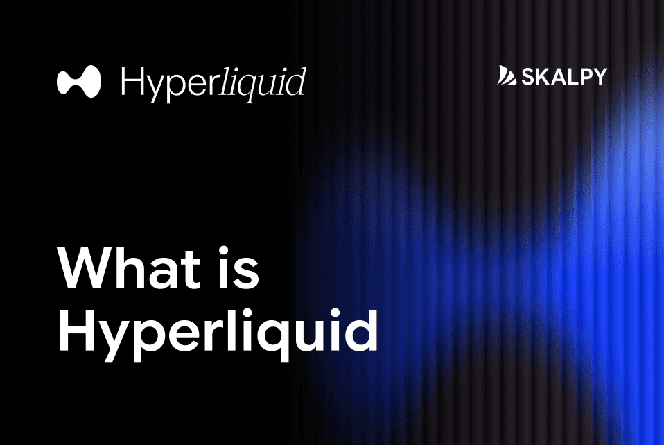 Обложка статьи «Что такое Hyperliquid?» о on-chain бирже деривативов и торговой инфраструктуре.