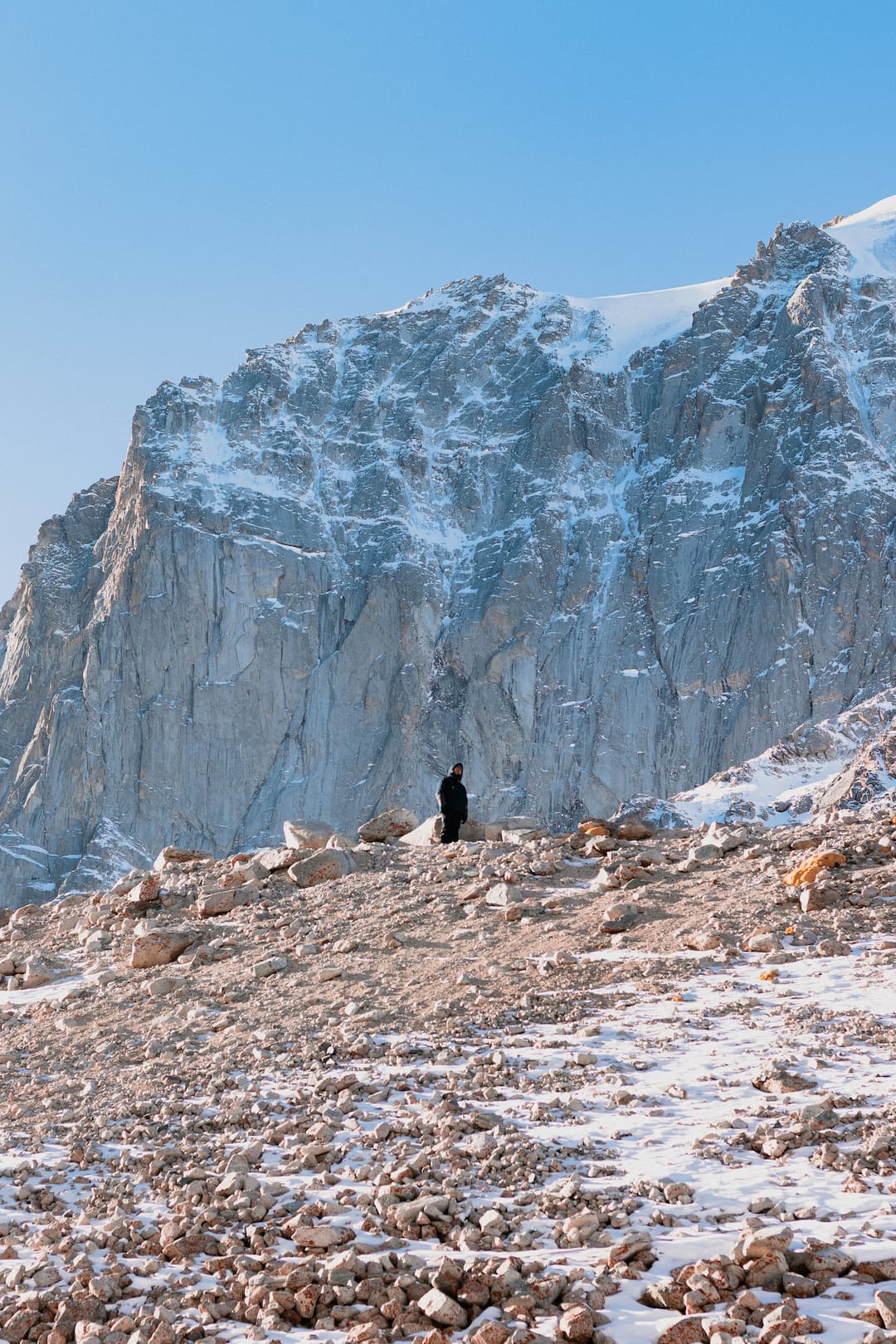 People hike with their dog on a grassy trail.