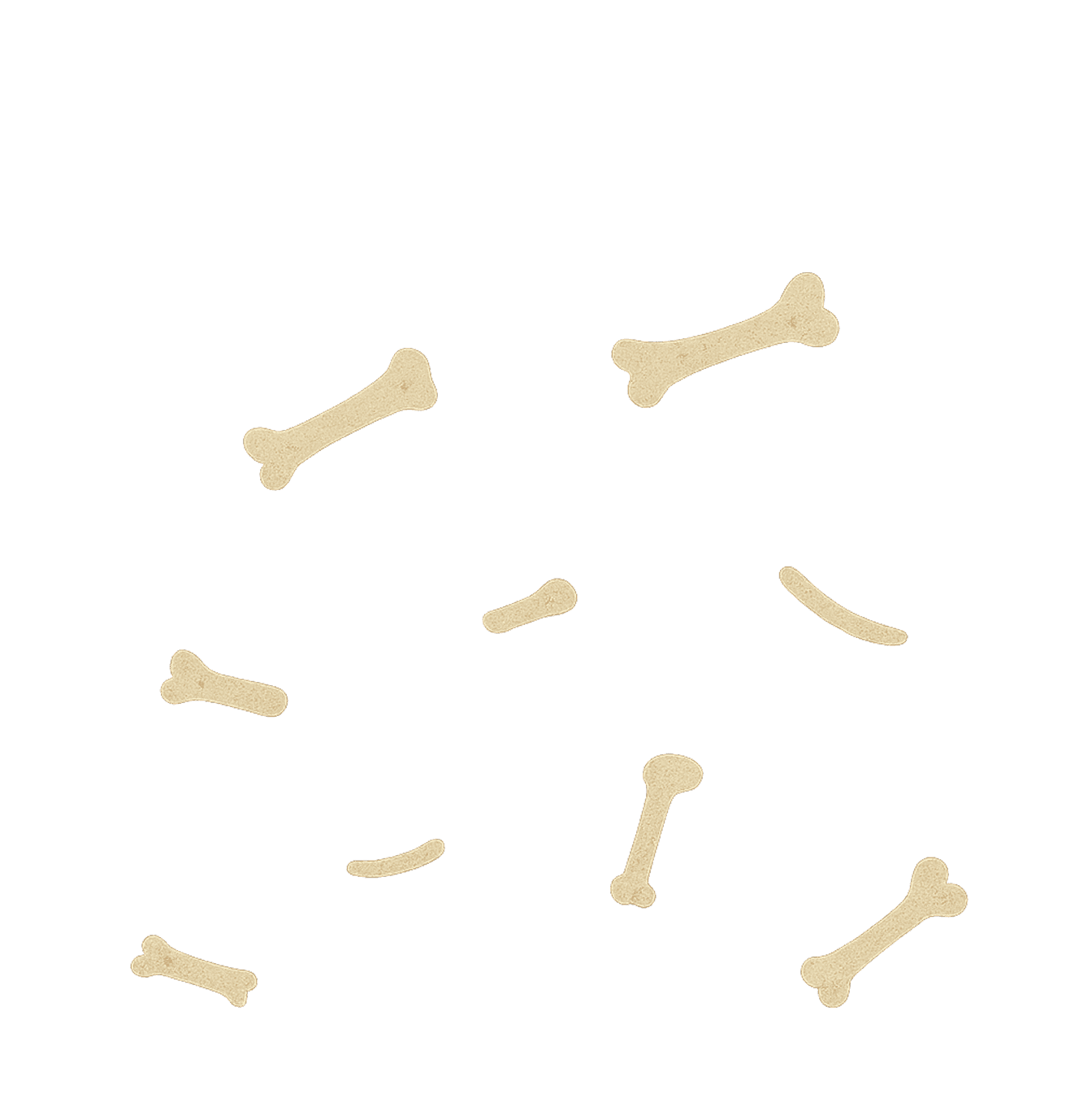 Illustration pixel art d'os