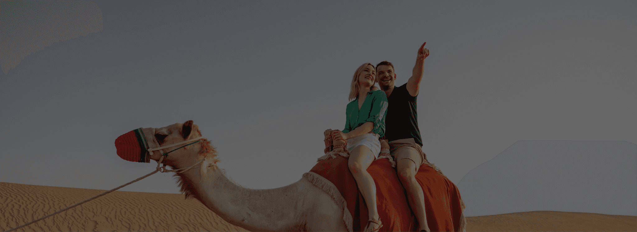 Real Estate House Image Background