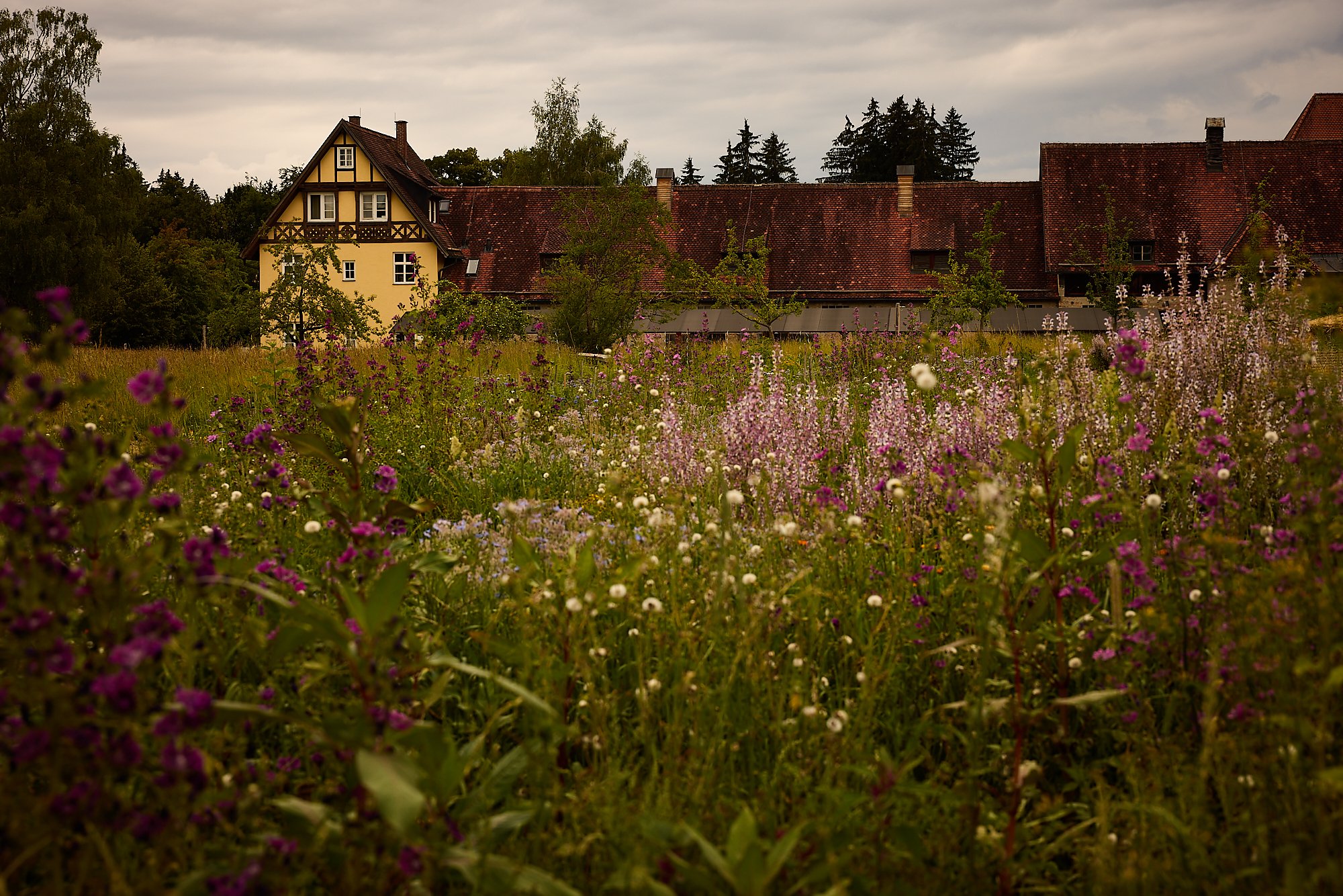 Nachruf auf Thomas Greim