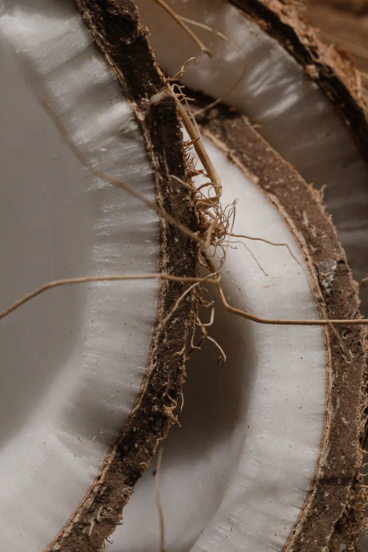A serene spa setting with two lounge chairs beside a warm, reflective pool and soft, natural lighting.