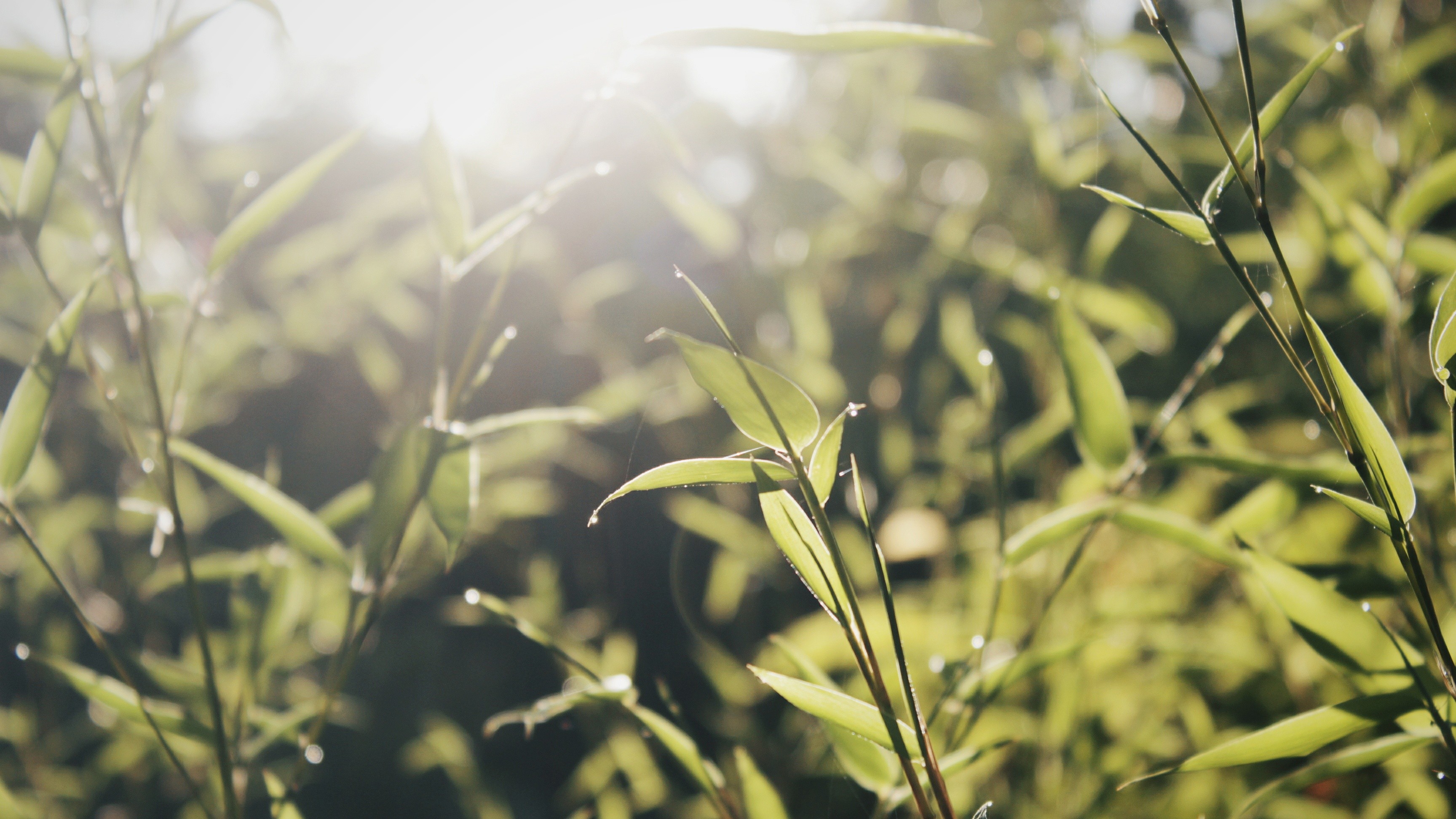 a group of people walking on a sidewalk