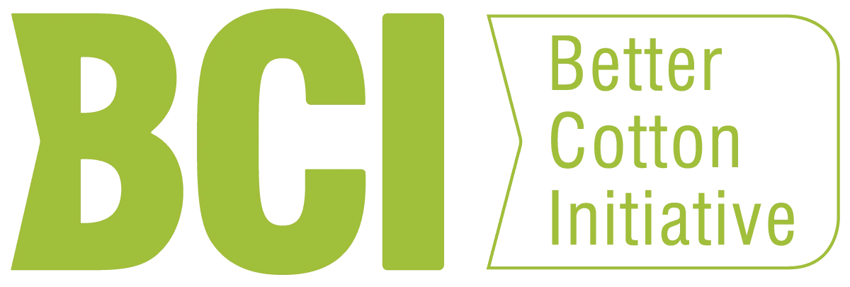 Logo bci