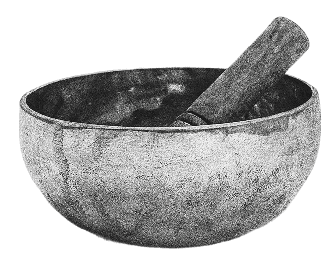 Tree branches reach towards a clear, blue sky.