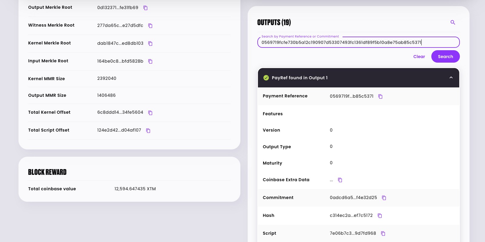 Flexible search functionality accepts block hash, payment reference, or block height as input. Retrieve the blockchain data you need in seconds.