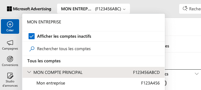 Saisie Compte ID