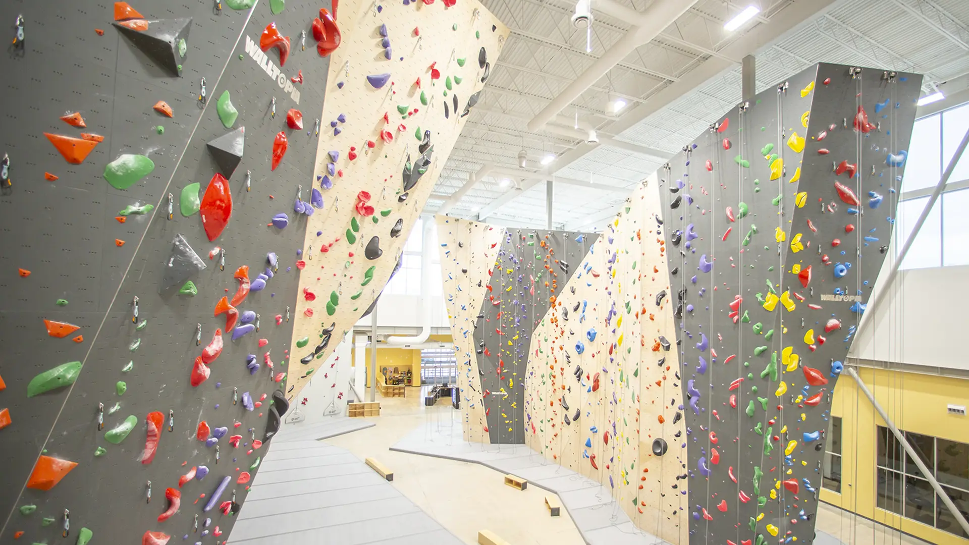 wall climbing arena