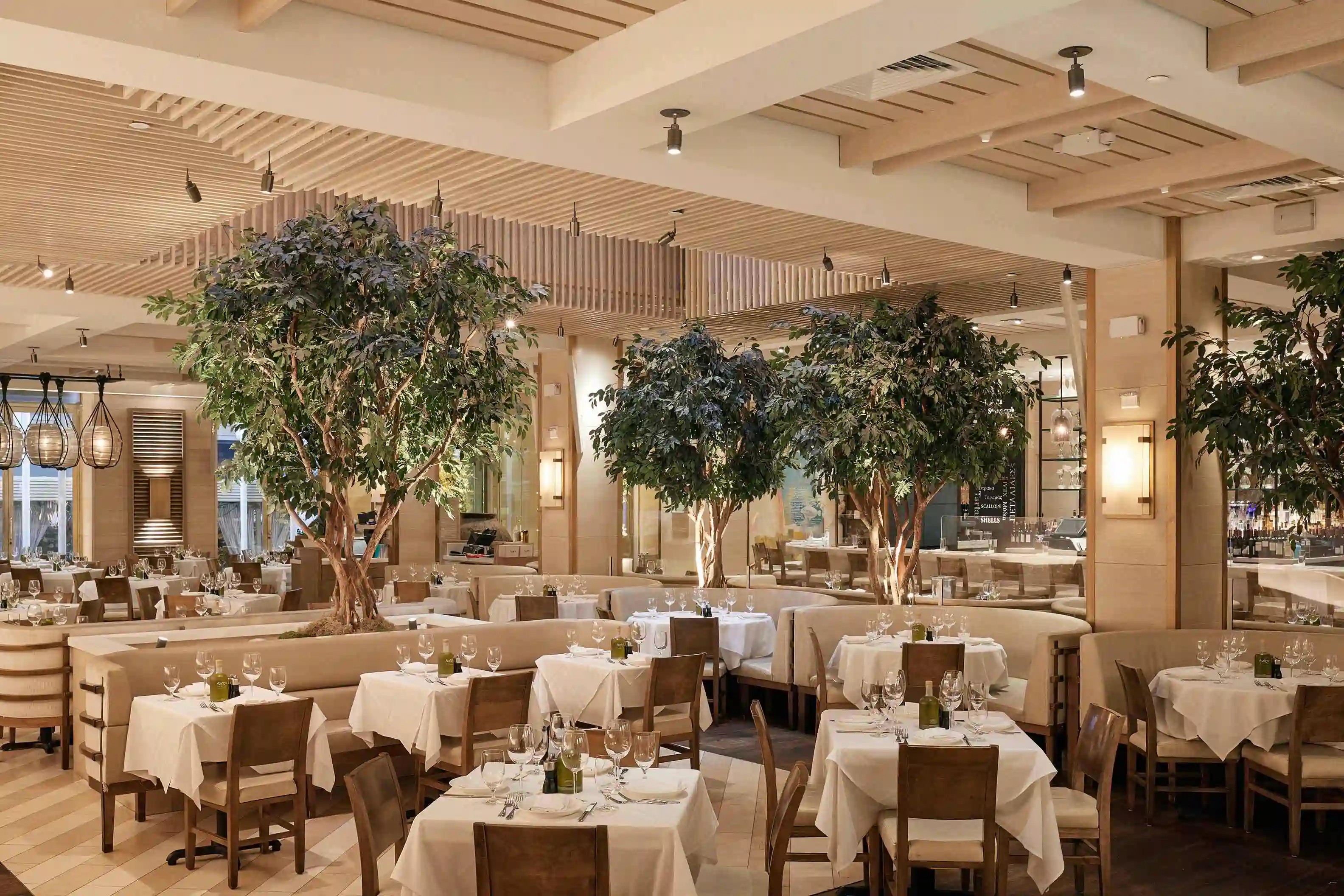 Elegant restaurant interior featuring white tablecloths, wooden furniture, and large indoor plants. Brightly lit space.