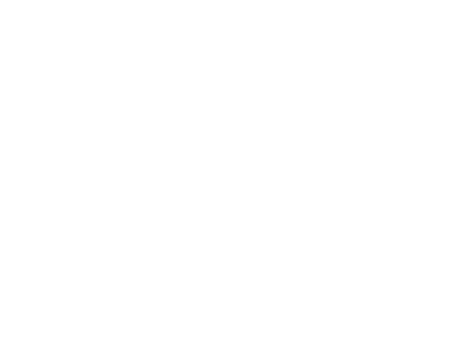 Wessels