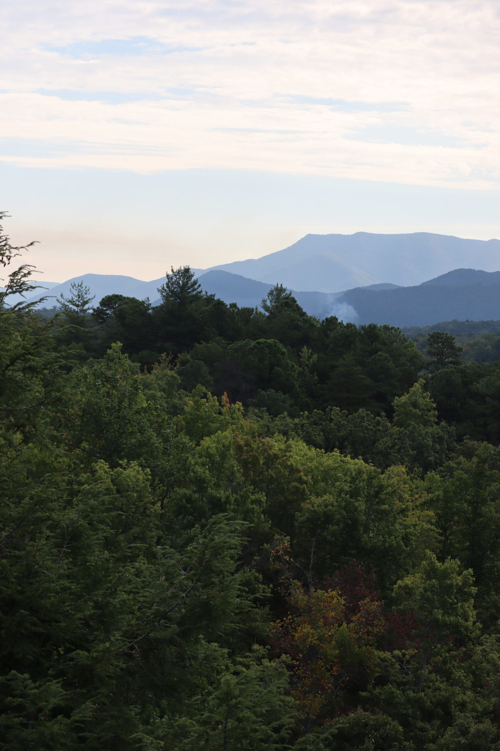 Best Unique Outdoor Activities Near Pigeon Forge