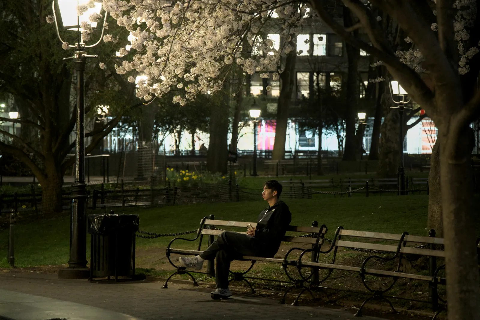Junger Mann sitzt abends mit dem Handy in der Hand allein auf einer Parkbank – Benching beim Dating