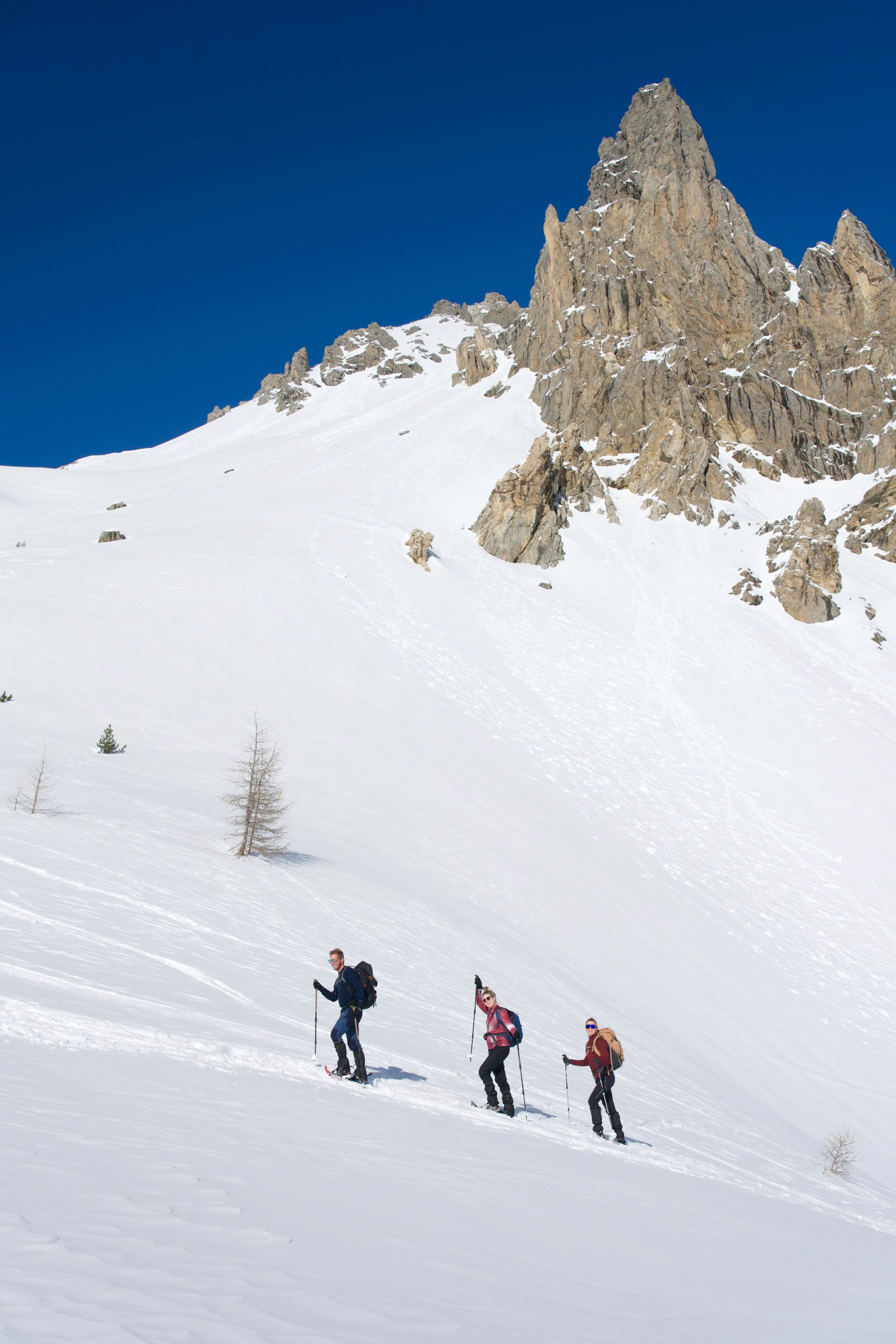 Photo d'un ordinateur portable, tenue par Anaïs, entouré d'un arbre fleuri