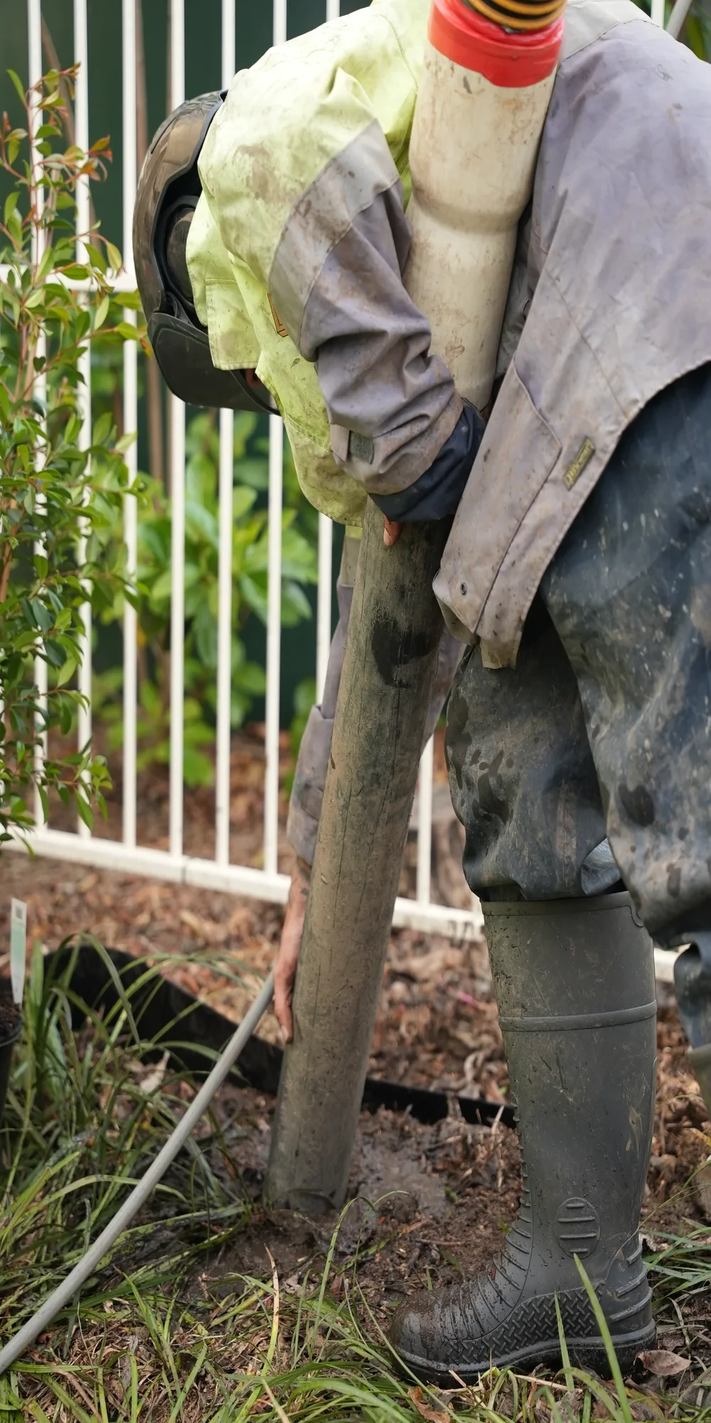 Hydro excavation clearing soil to expose tree roots