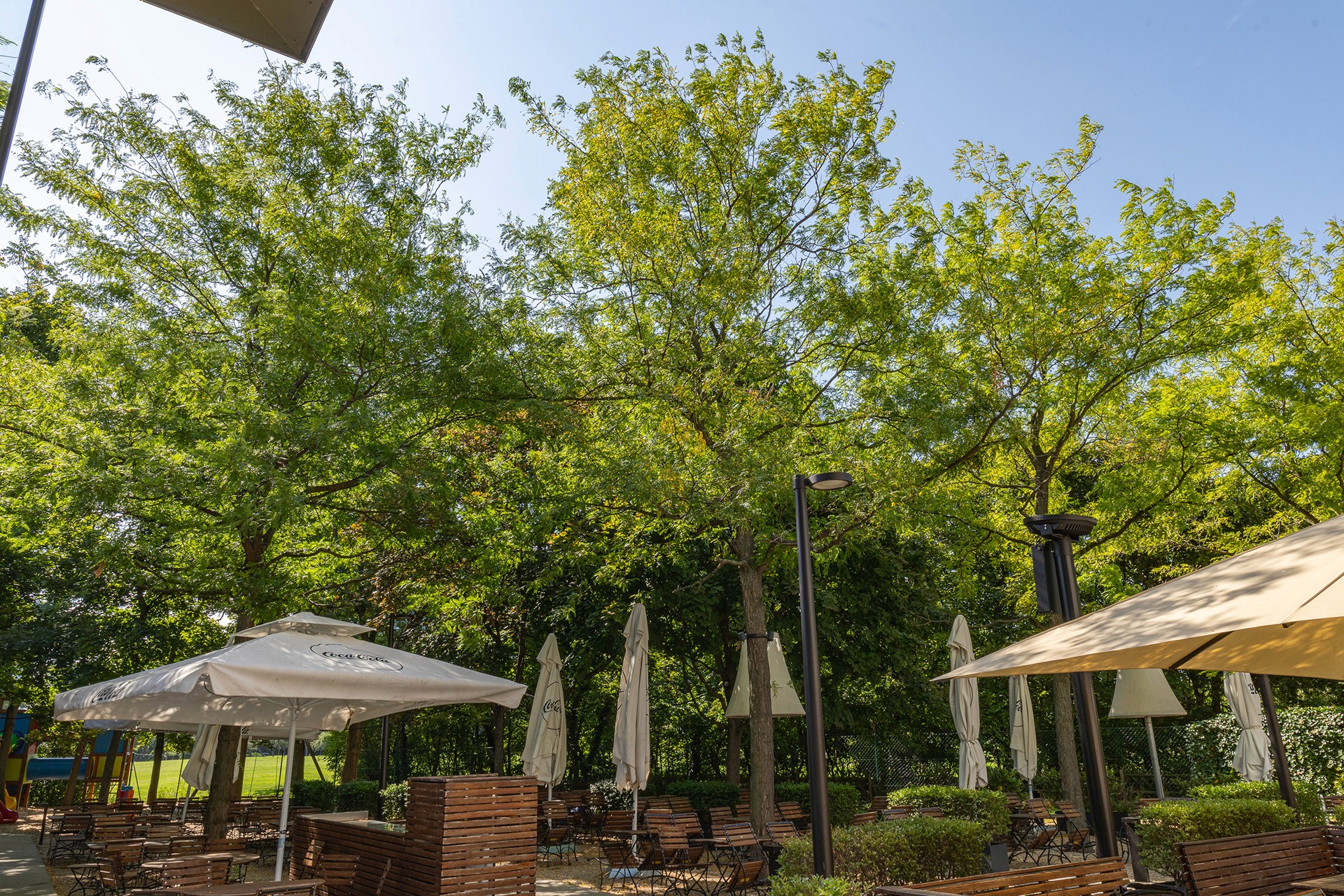 Gastgarten mit großen Schattenbäumen, Sonnenschirmen und Sitzplätzen unter dichtem Blätterdach.