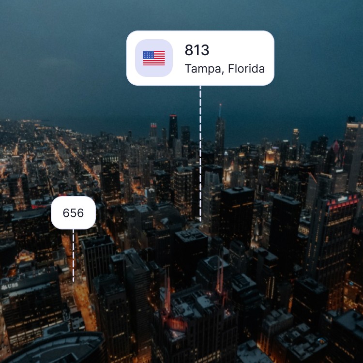 City skyline of Tampa showing the 813 area code and surrounding area codes