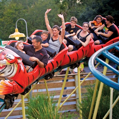 People ride a dragon-themed rollercoaster, some with hands raised and smiling, surrounded by greenery.