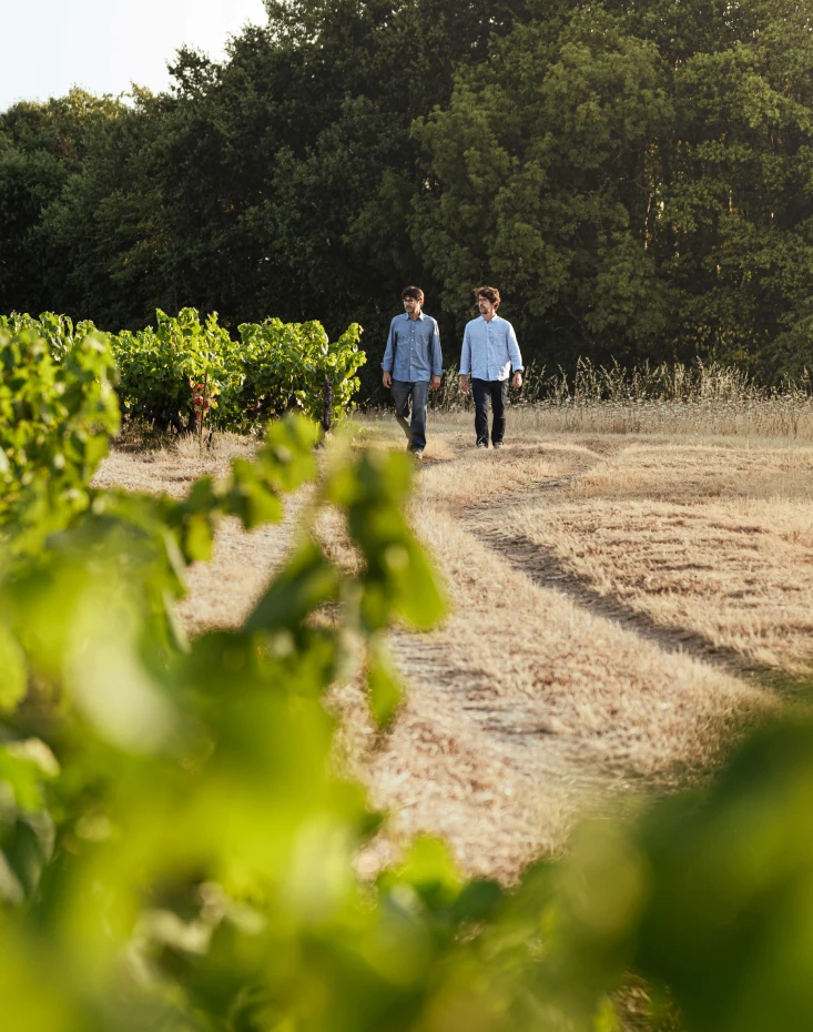 Vignerons marchant entre les rangs de vigne fleuris