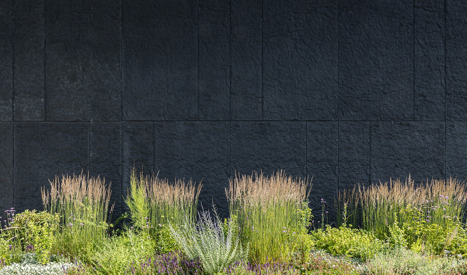 Pflanzdetail in einem Projekt von Praskac.