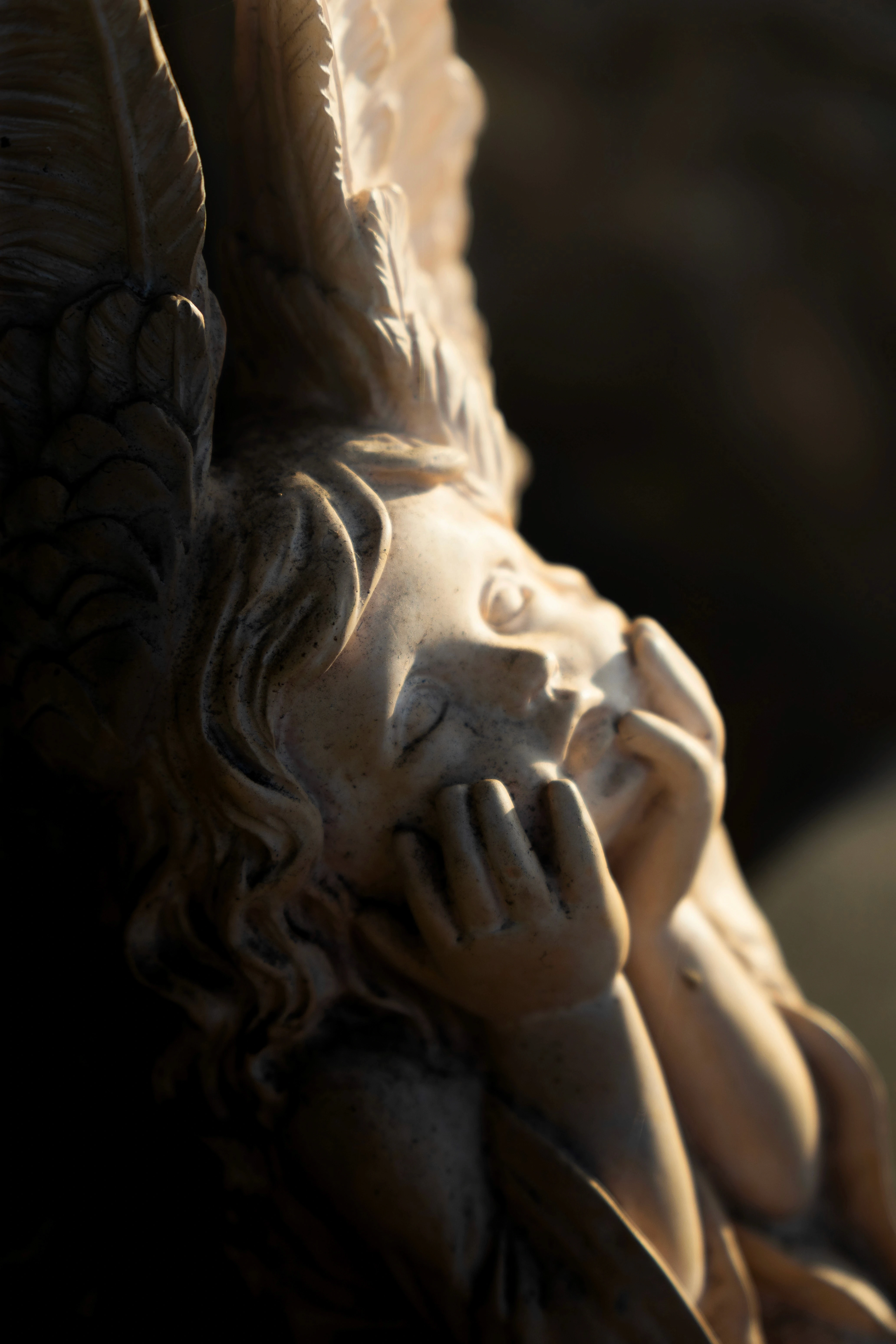 dark and light angel photo