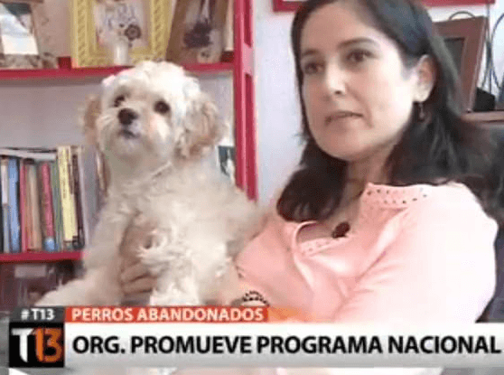 Registros reales de tenencia responsable