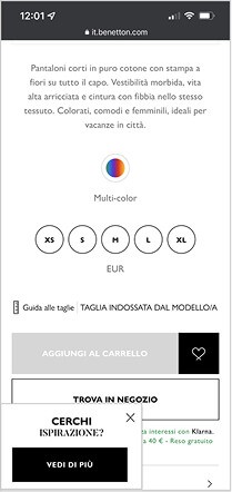 screenshot of homepage with carousel placement