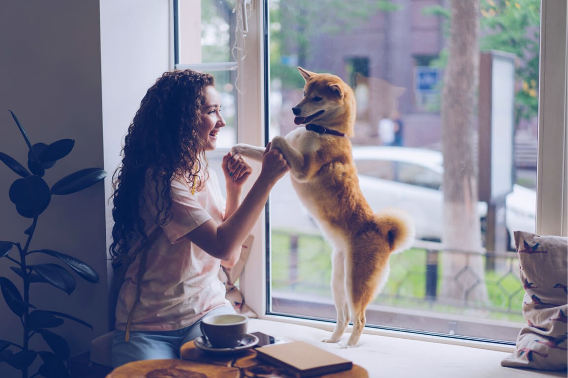 Emotional Support Animal ESA Letter Dog Cat Mental health woman with curly brown hair shiba inu puppy jumping standing walking