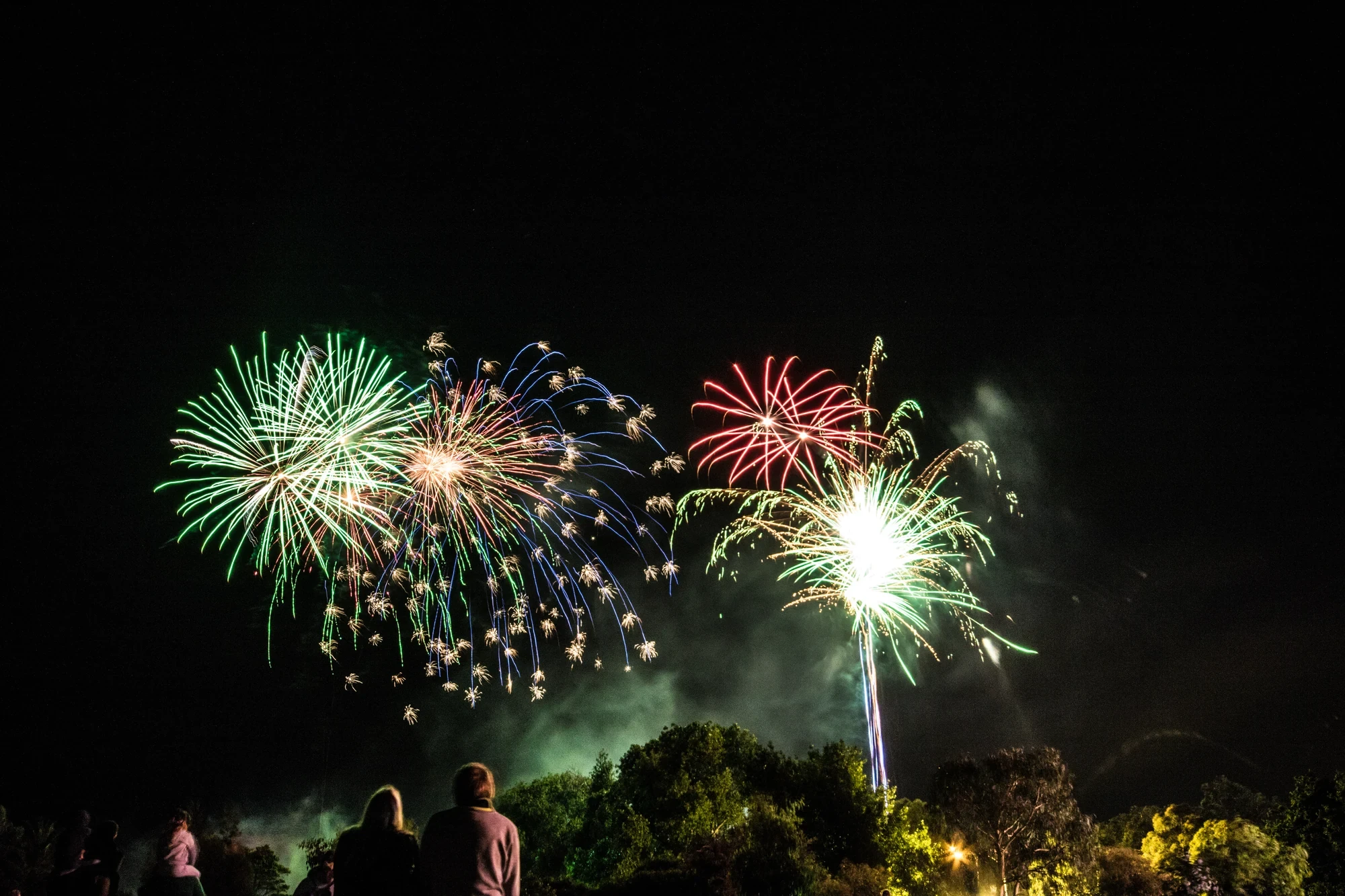fireworks in the night sky