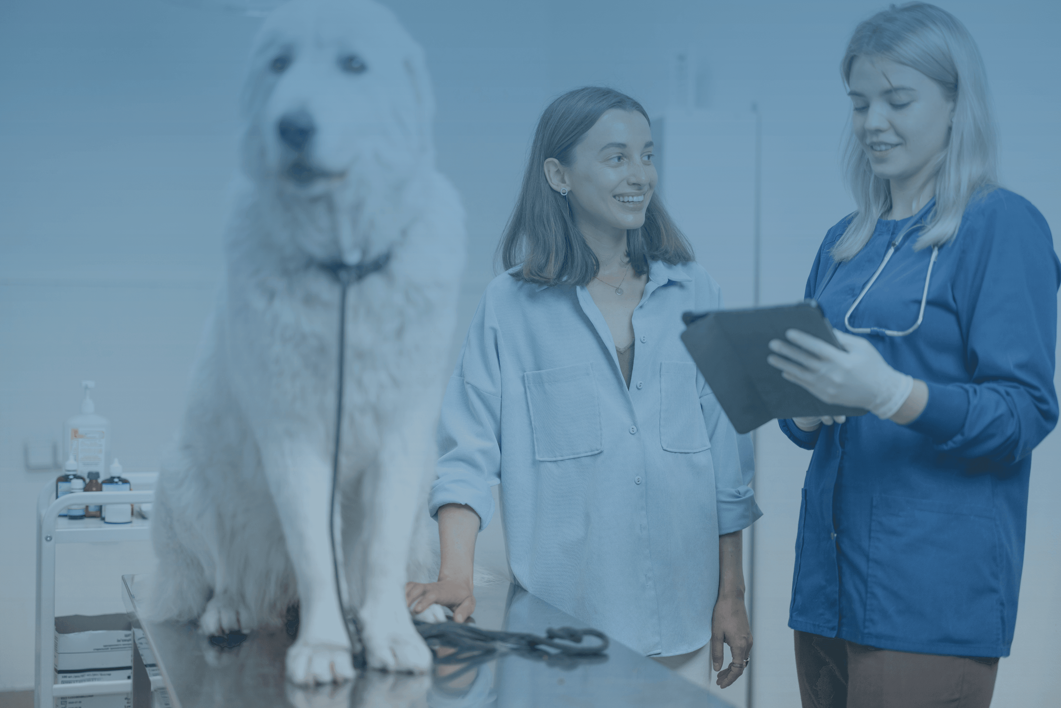 a veterinarian holding a tablet and talking to a client and her dog