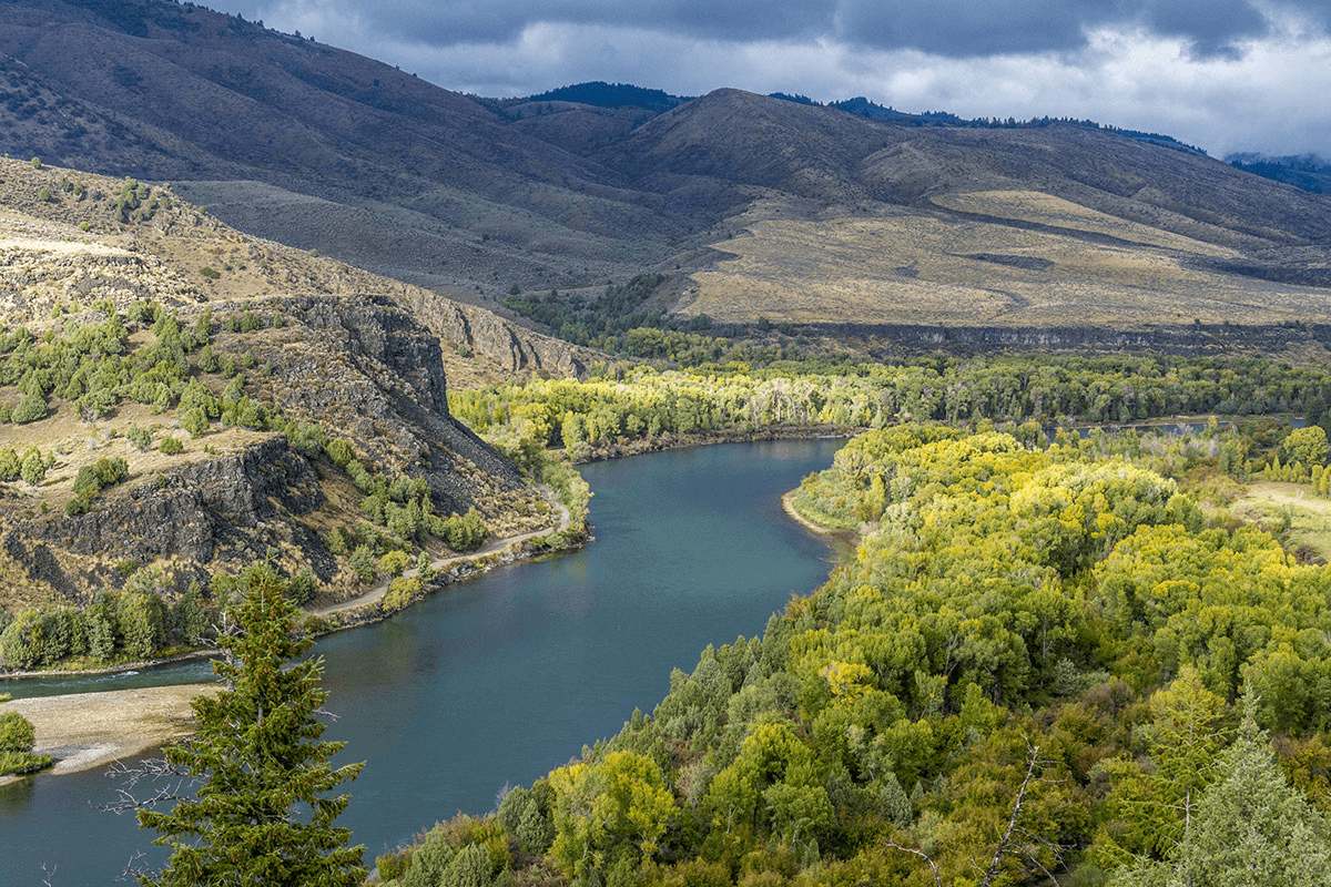Bend in a river through a forested canyon