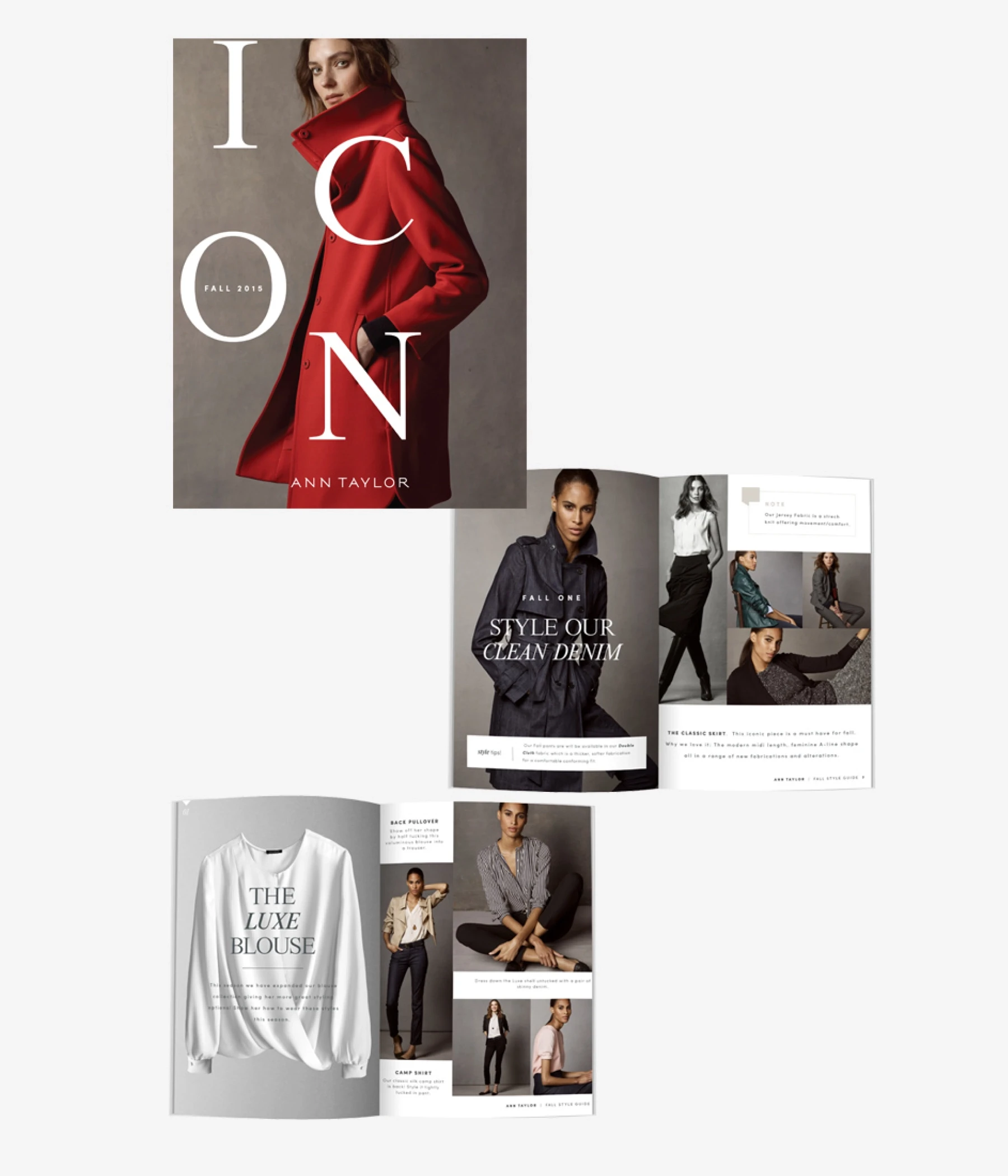 Ann Taylor internal communication clothing guide mockup