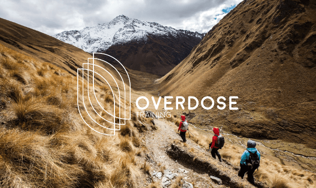 OVERDOSE TRAINING Website Design