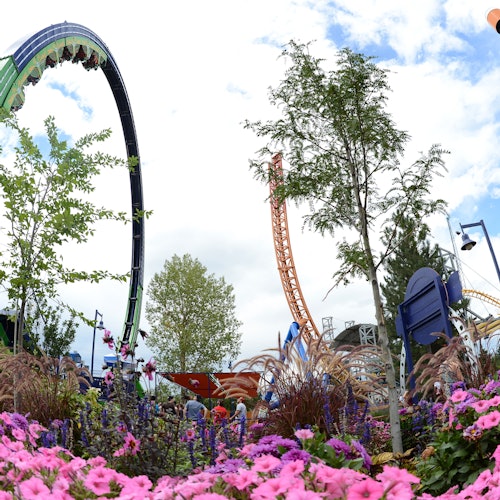 Rollercoasters loop and rise amid colorful flowers, trees, and a clear sky, with people in the background enjoying the amusement park.