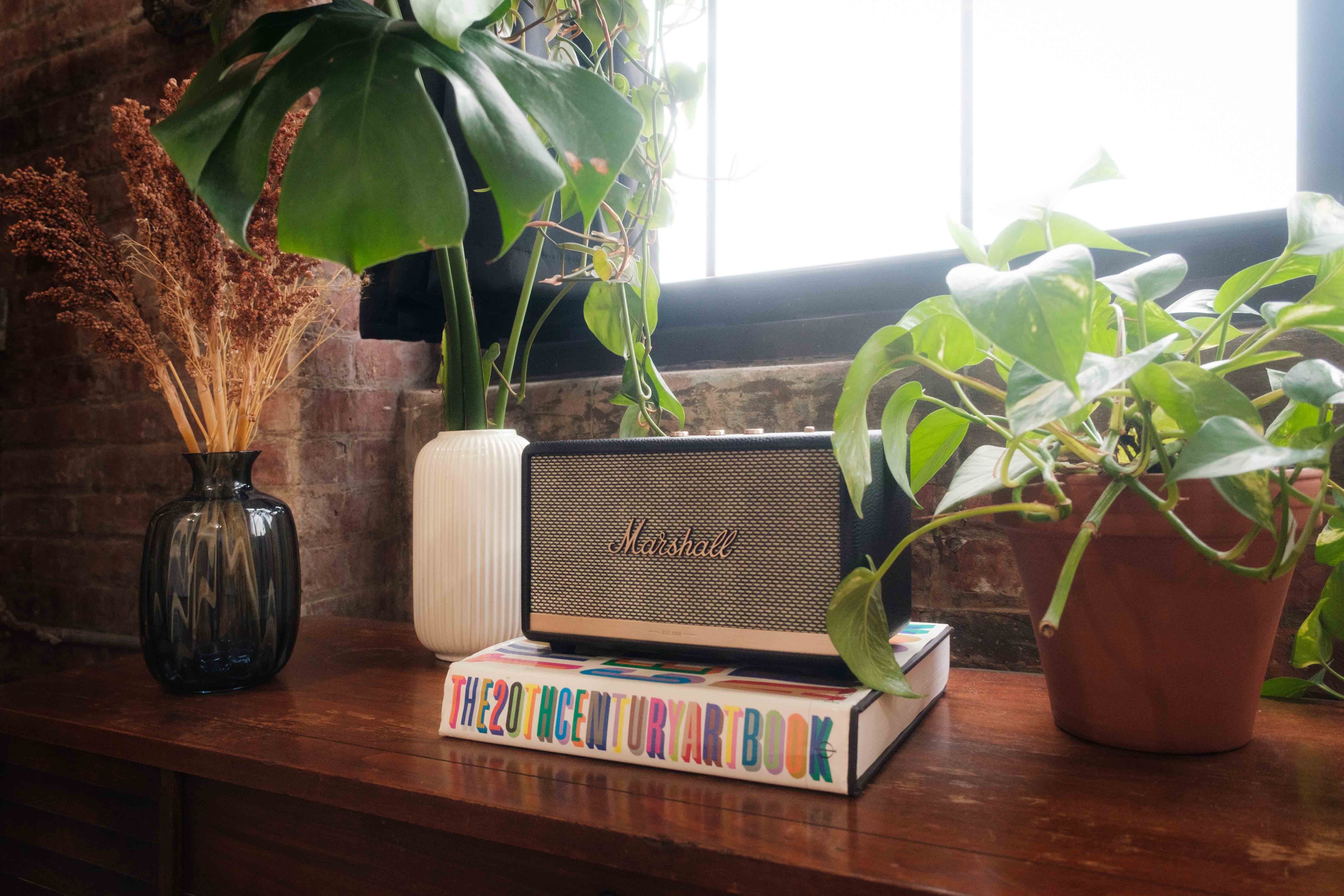 A Marshall speaker sits atop a book titled "The 20th Century Art Book" on a wooden surface, flanked by potted plants and vases, creating a stylish and artistic display by a window with natural light.