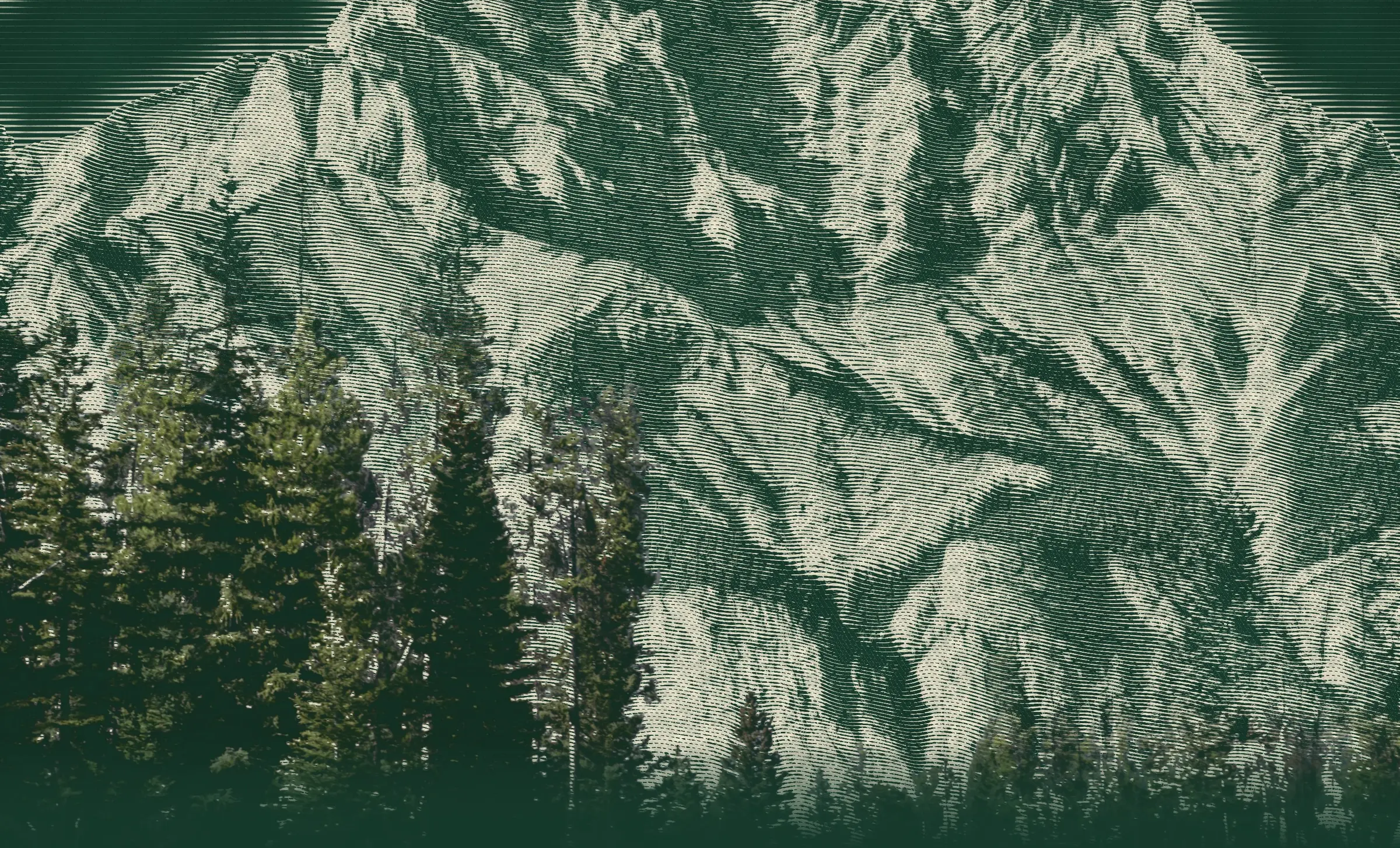 Engraved mountain slopes in cream lines on deep green above a band of real spruce trees
