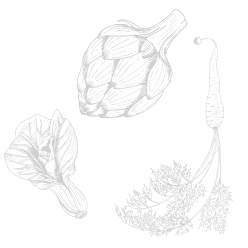 Illustration of three plants: an artichoke with a large bud, a partially opened flower, and a bulbous root with leaves resembling a wild carrot—perfect additions to any nutrition plan emphasizing health and vibrant eating.