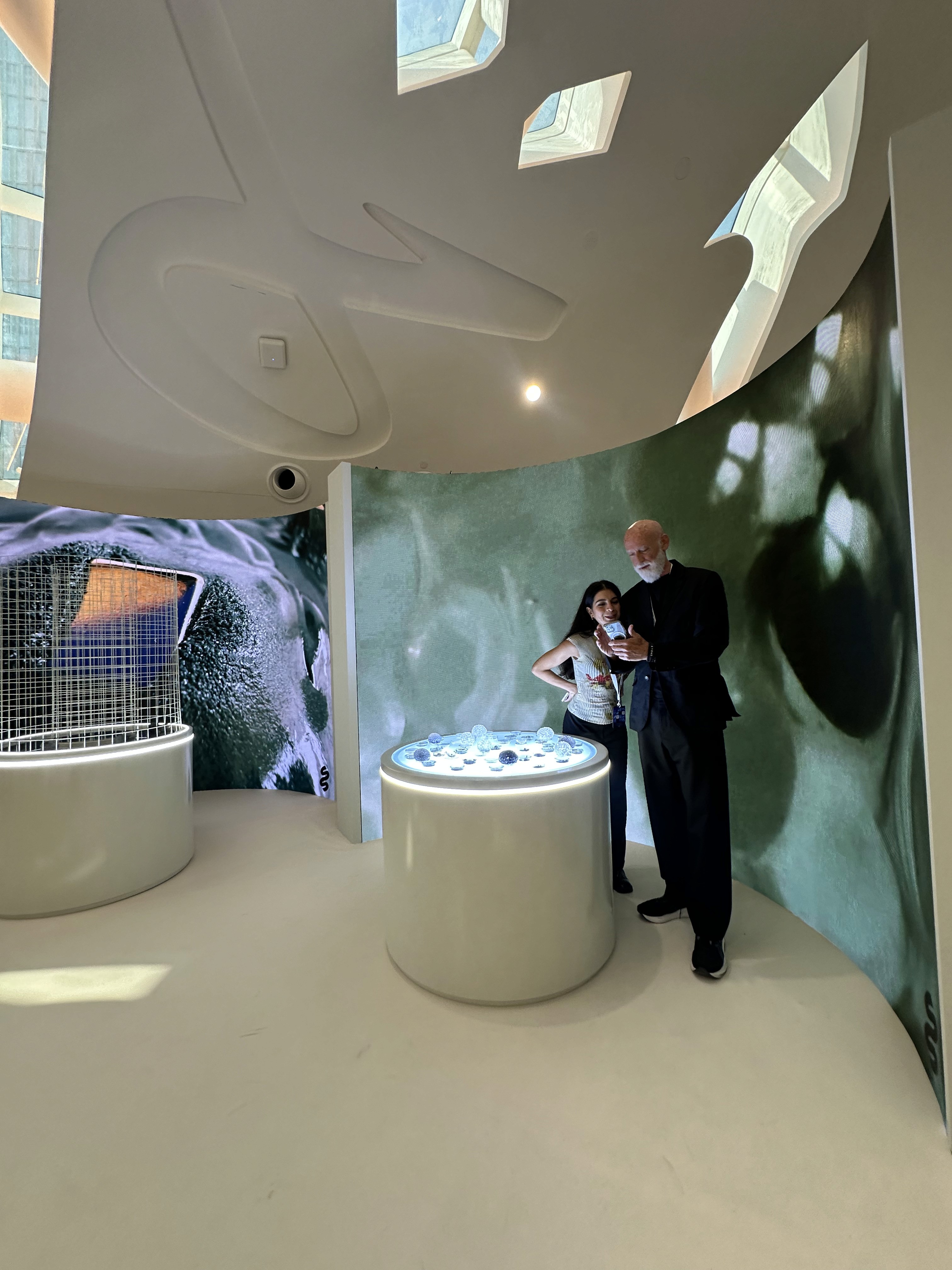 Dom Pérignon vineyards from the sky