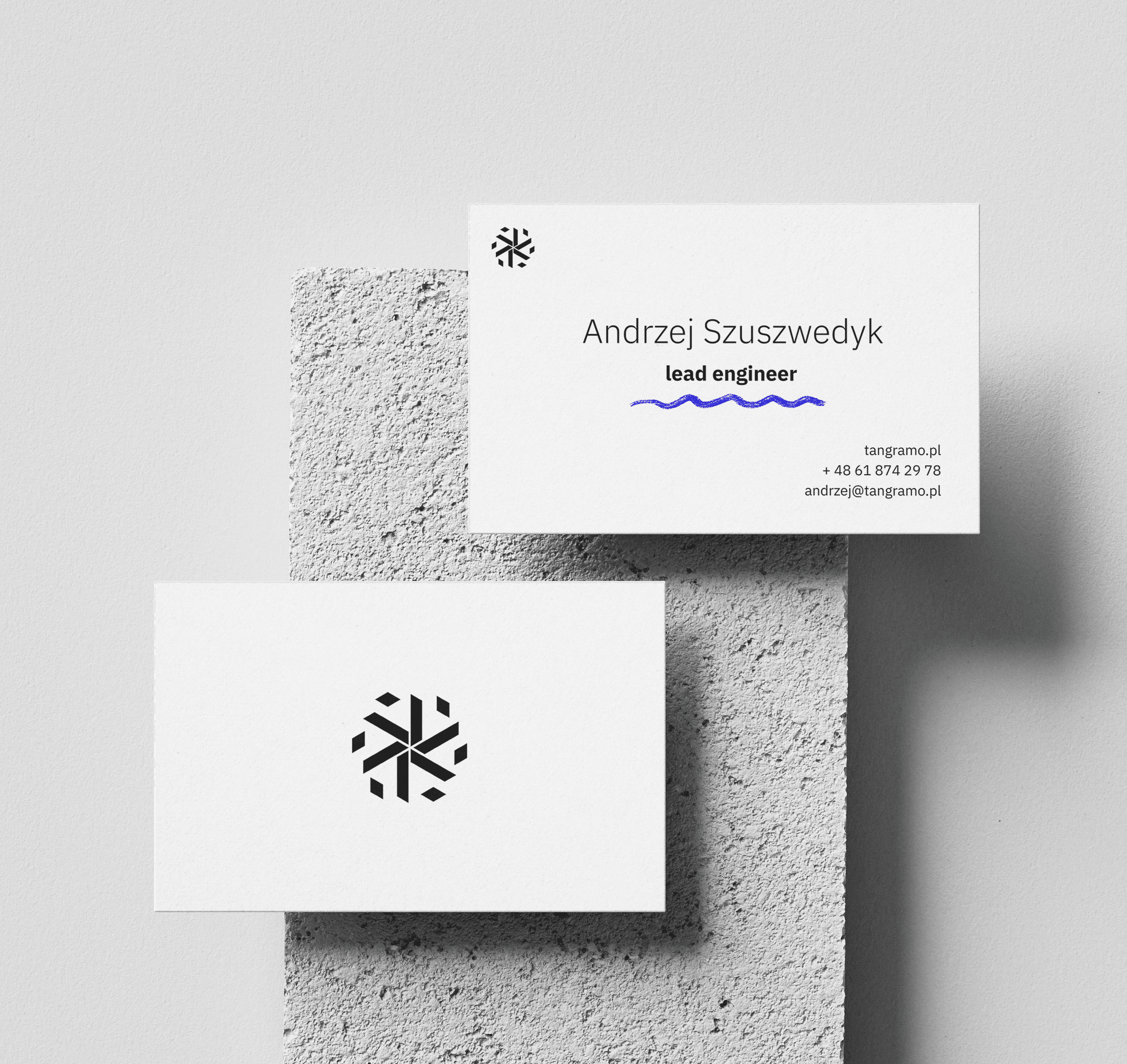 Tangramo Accountant Panel, dark theme