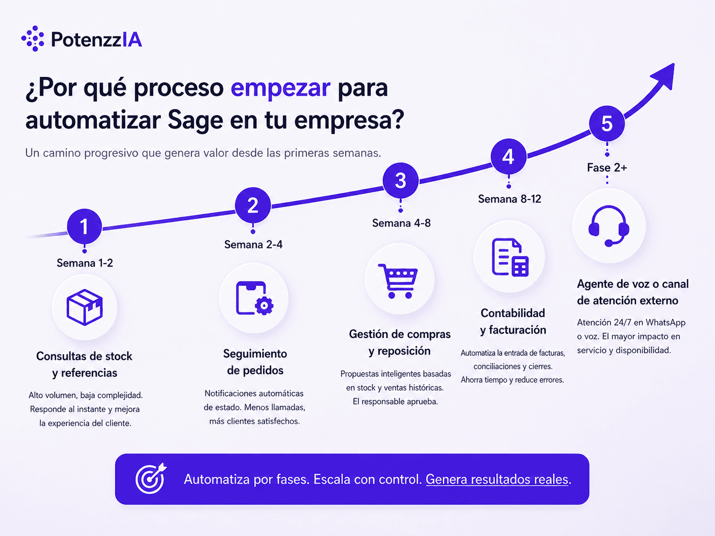 proceso de implementacion de ia con sage